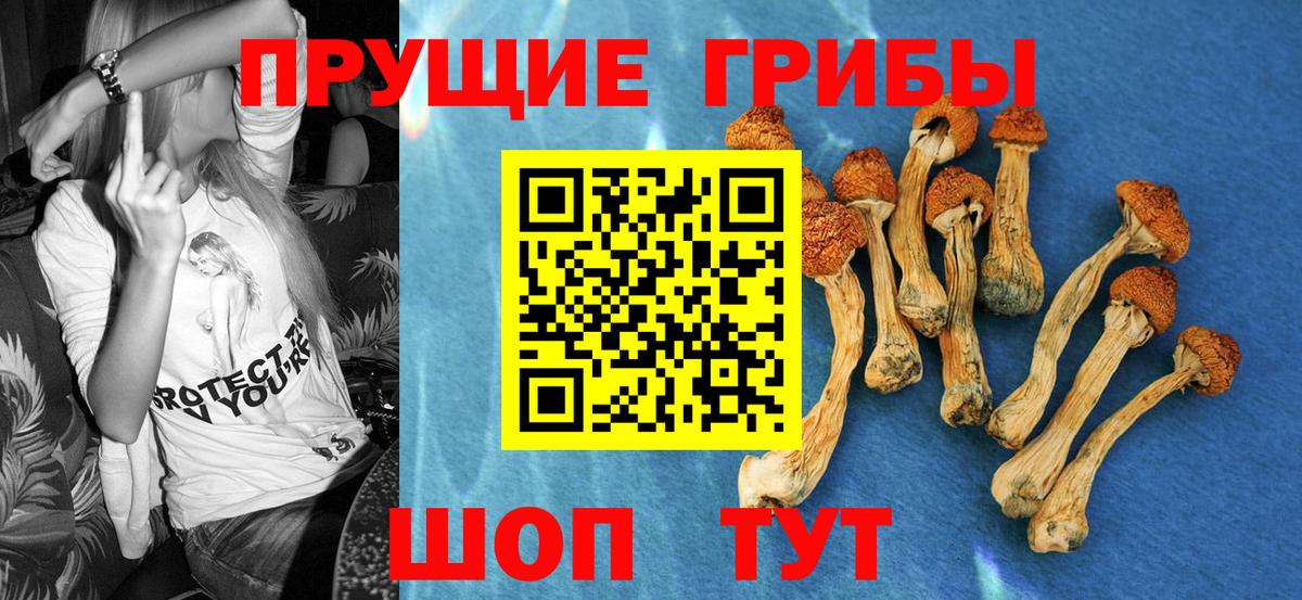 Псилоцибиновые грибы мицелий  Вход с VPN  Глазов 