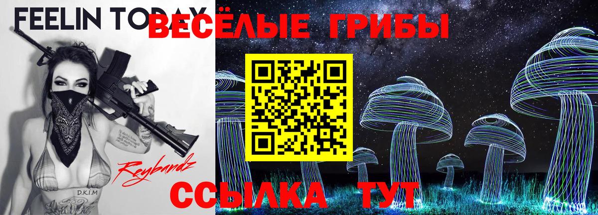 Псилоцибиновые грибы Psilocybe Глазов