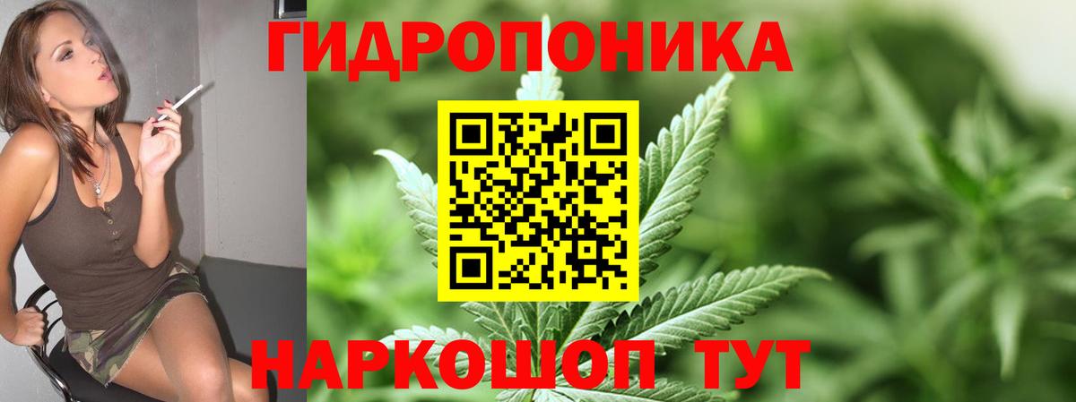 Конопля AK-47  Вход с VPN  Конопля семена  Глазов  Марихуана VHQ 